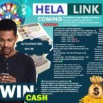HelaLink Agencies